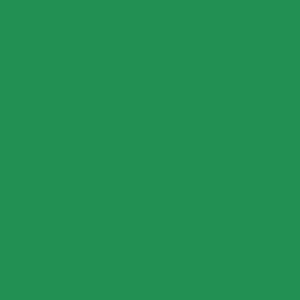 Mission Models RC Green
