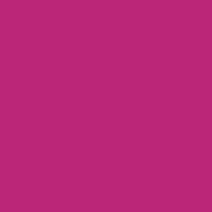 Mission Models RC Fluorescent Racing Berry